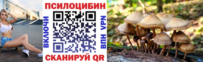 цена наркотик  Ленинск  Галлюциногенные грибы ЛСД 